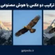 ترکیب دو عکس با هوش مصنوعی